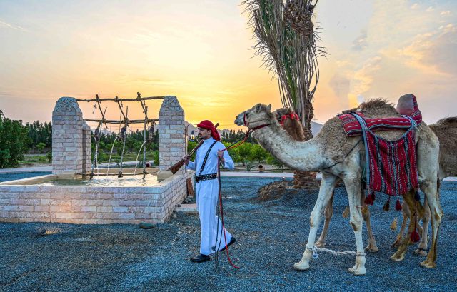 عرض الهجان بالزي التراثي